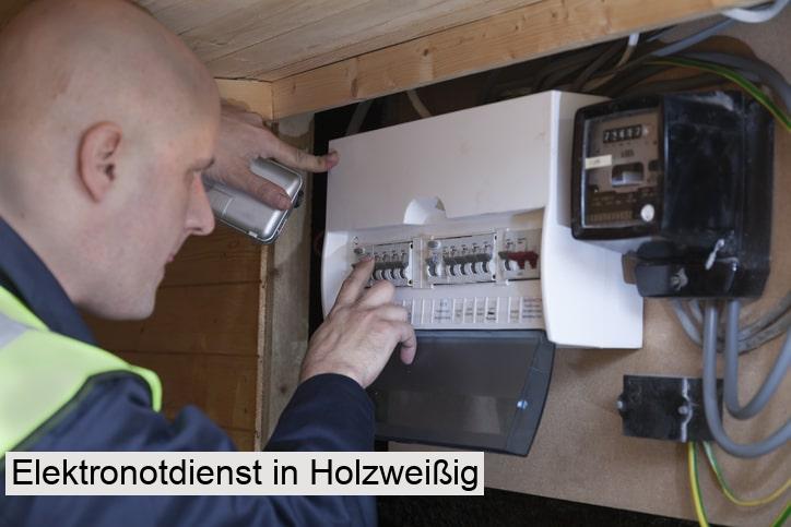 Elektronotdienst in Holzweißig